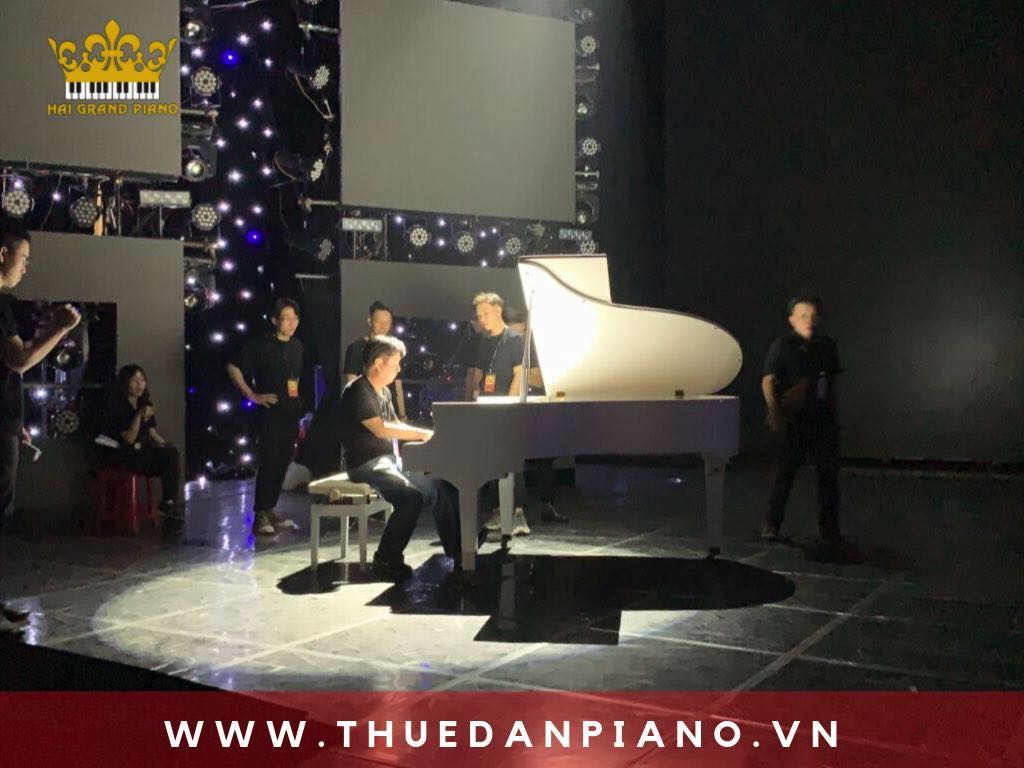 cho-thue-dan-piano-grand-bieu-dien_001