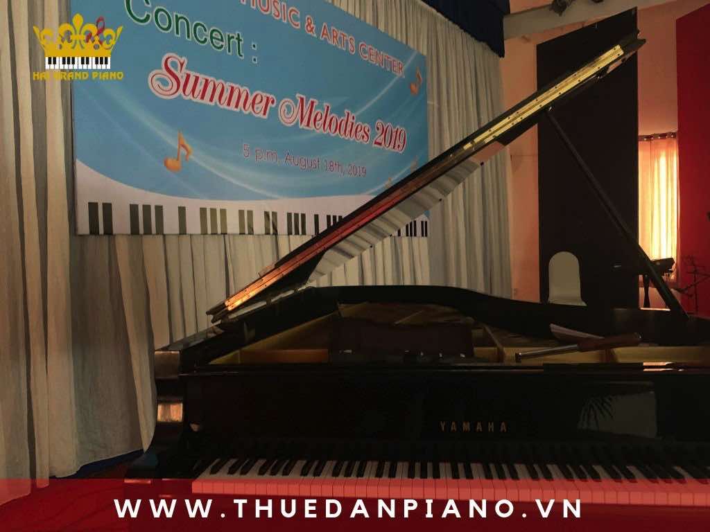 thue-grand-piano-truong-nhac-quan-binh-thanh_001
