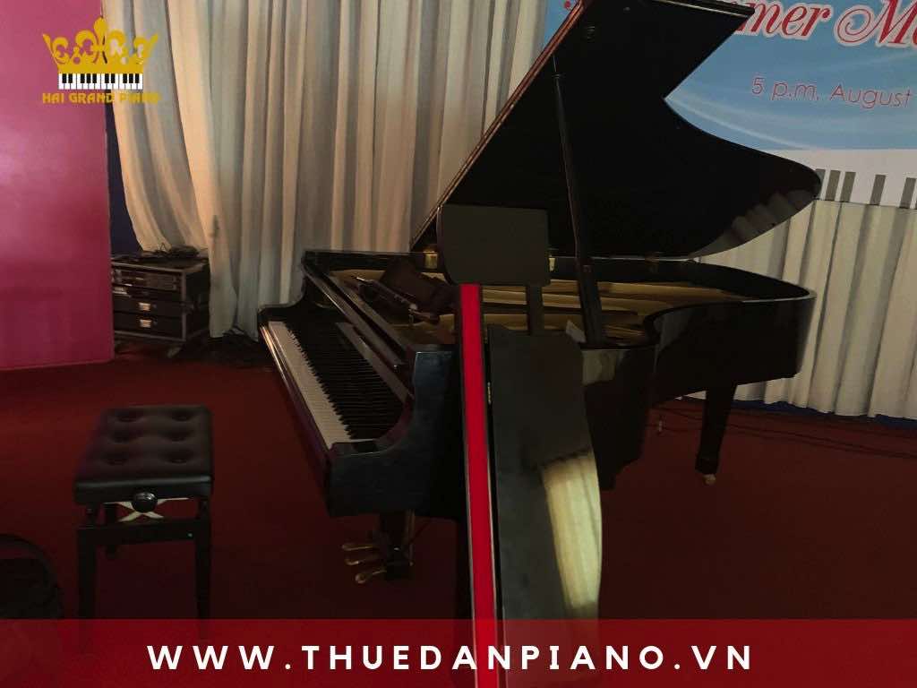 thue-grand-piano-truong-nhac-quan-binh-thanh_002