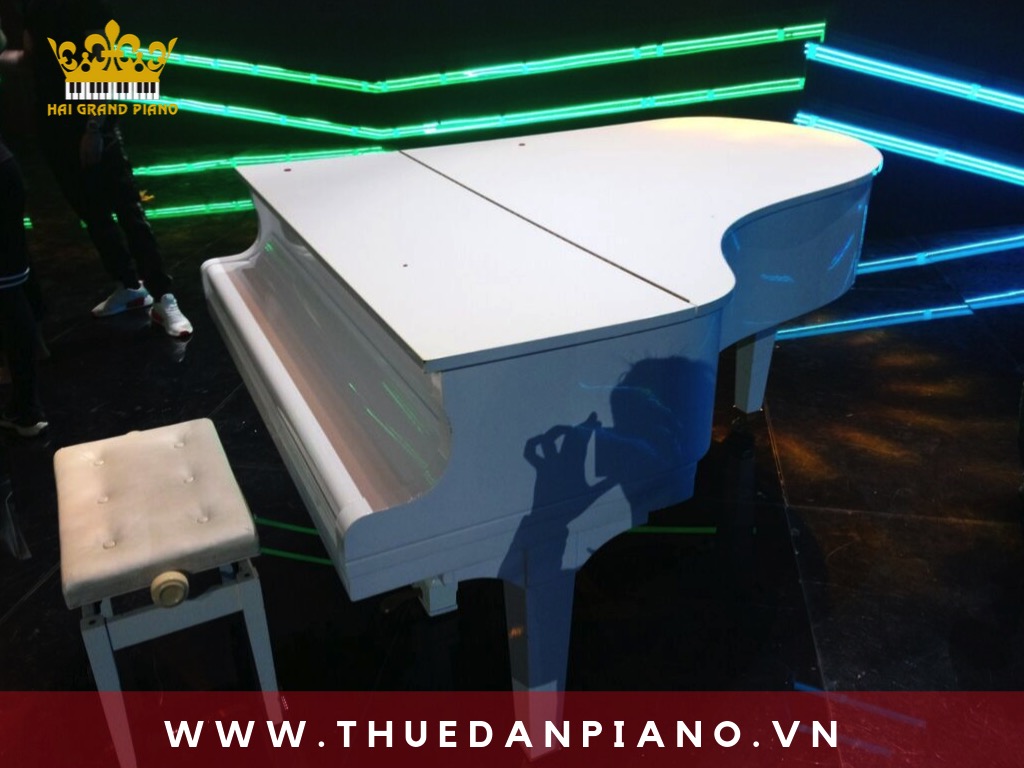 thue-dan-piano-san-khau_002