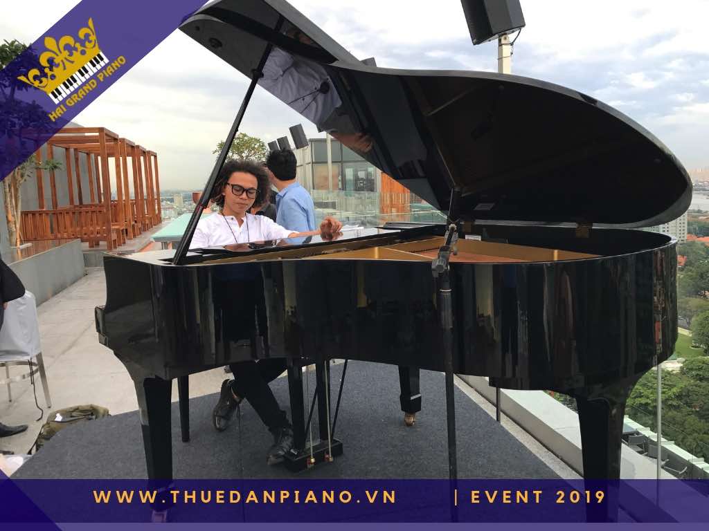 thue dan piano gia re 27_002
