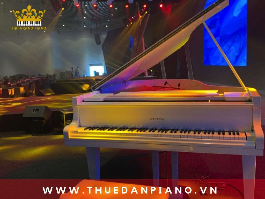 thue-piano-grand-mau-trang-quan-1_004