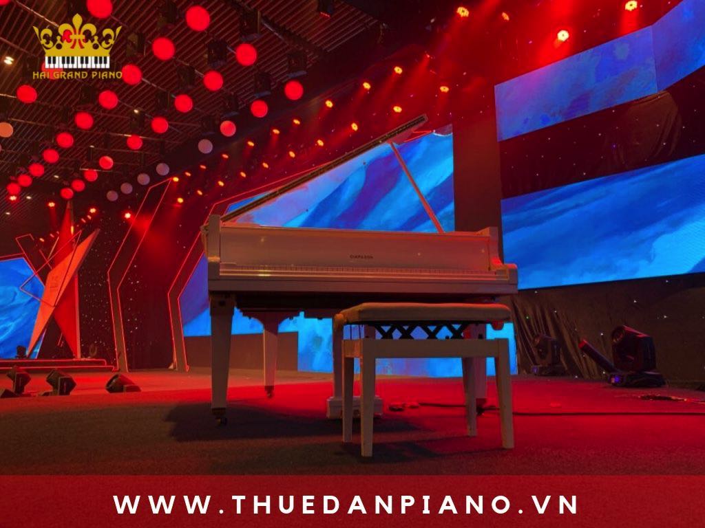 thue-piano-grand-mau-trang-quan-1_005