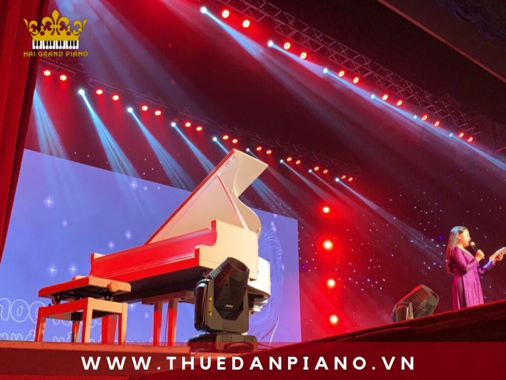 thue-dan-piano-nghe-si-tuan-manh_003