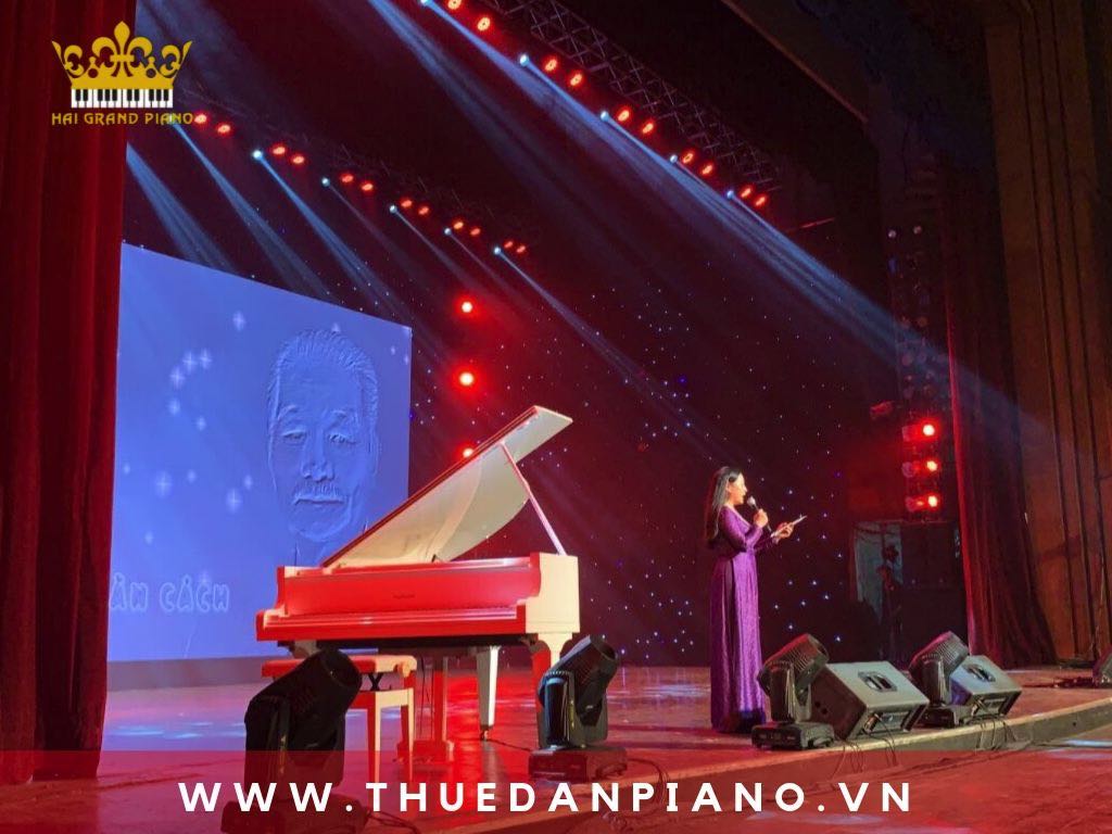 thue-dan-piano-nghe-si-tuan-manh_004