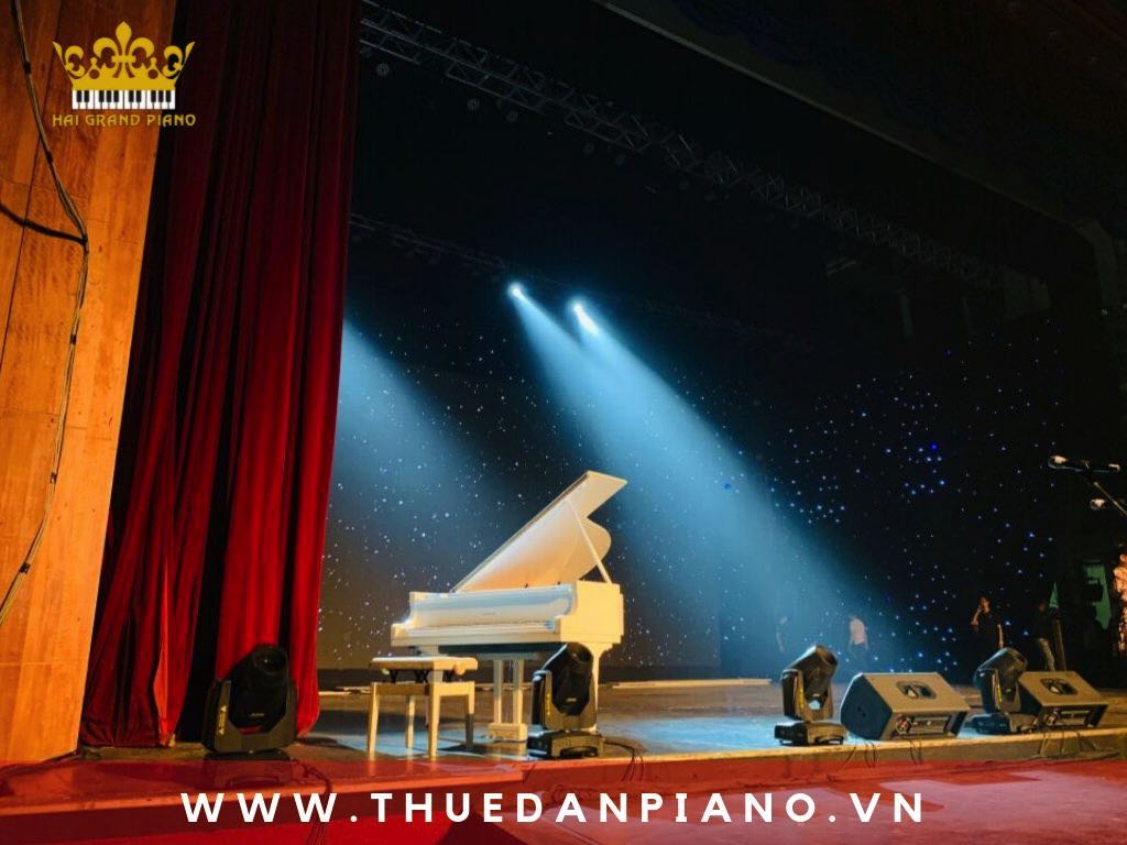 thue-dan-piano-nghe-si-tuan-manh_005