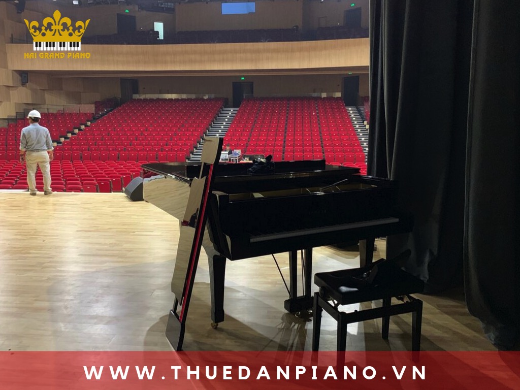 thue-piano-bieu-dien-nha-hat_002