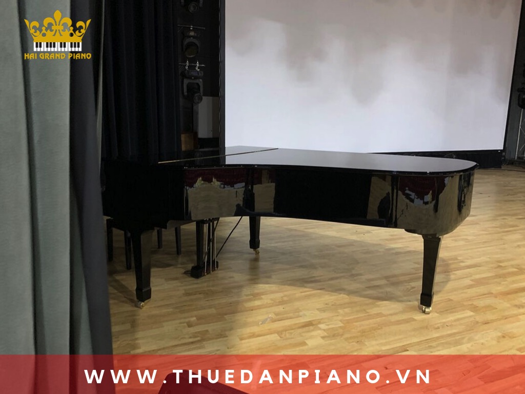 thue-piano-bieu-dien-nha-hat_003