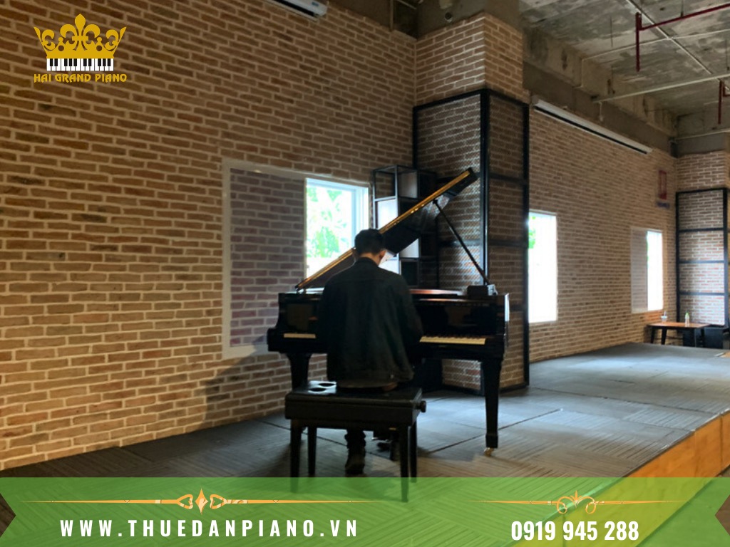 THUE-DAN-PIANO-BIEU-DIEN_001