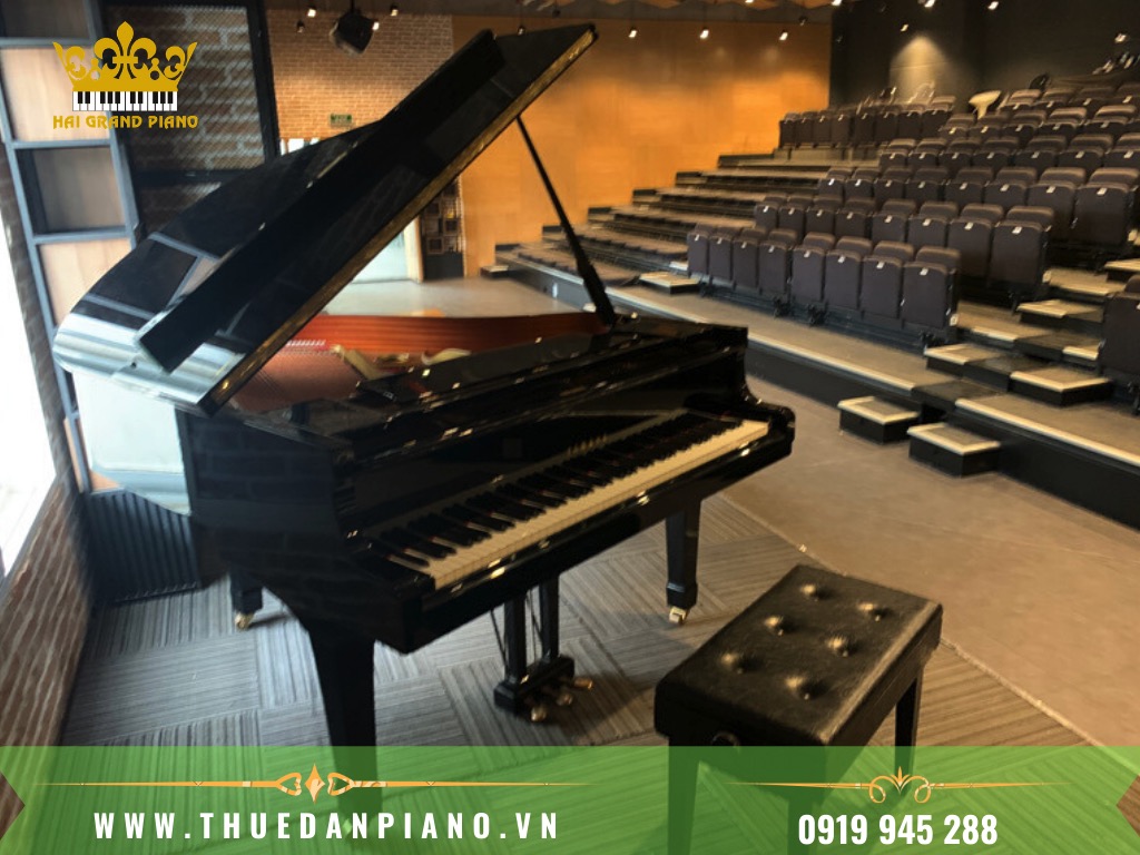 THUE-DAN-PIANO-BIEU-DIEN_002
