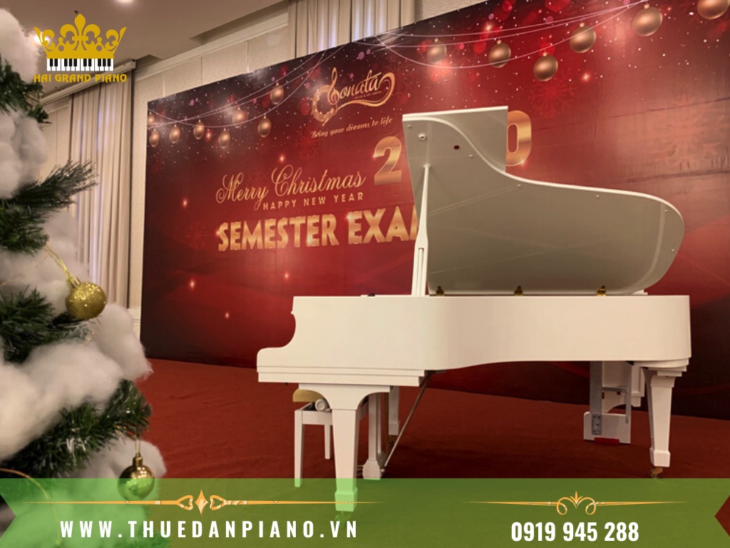 THUE-DAN-PIANO-BIEU-DIEN-LE-NOEL-2020