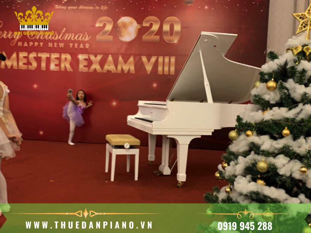 THUE-DAN-PIANO-BIEU-DIEN-LE-NOEL-2020_002
