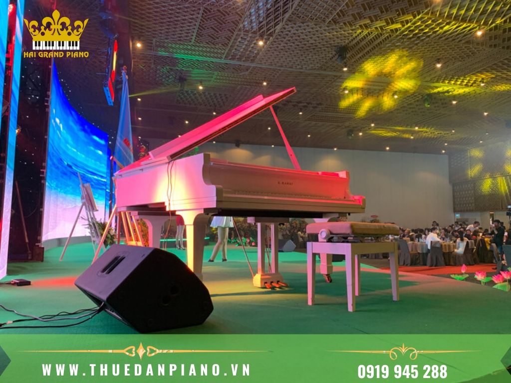 thue-piano-bieu-dien-2