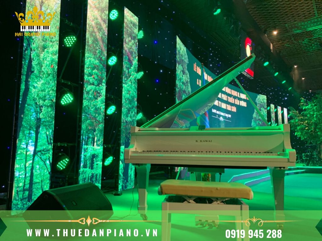 thue-piano-bieu-dien-4
