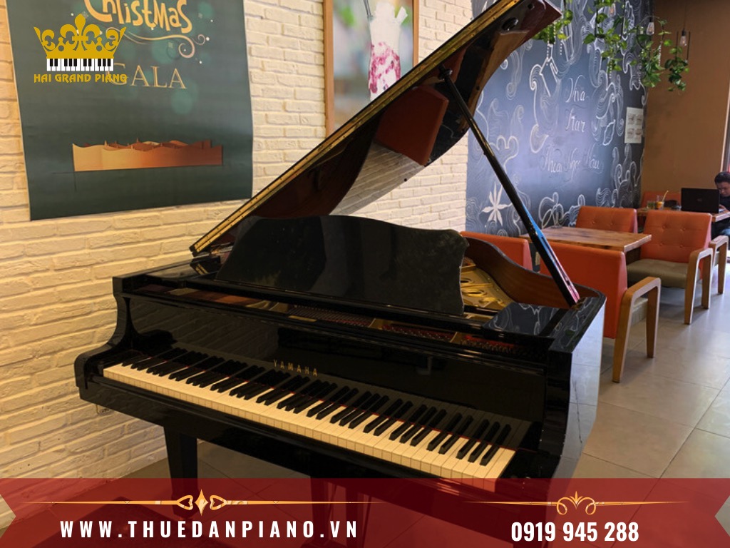 thue-piano-1