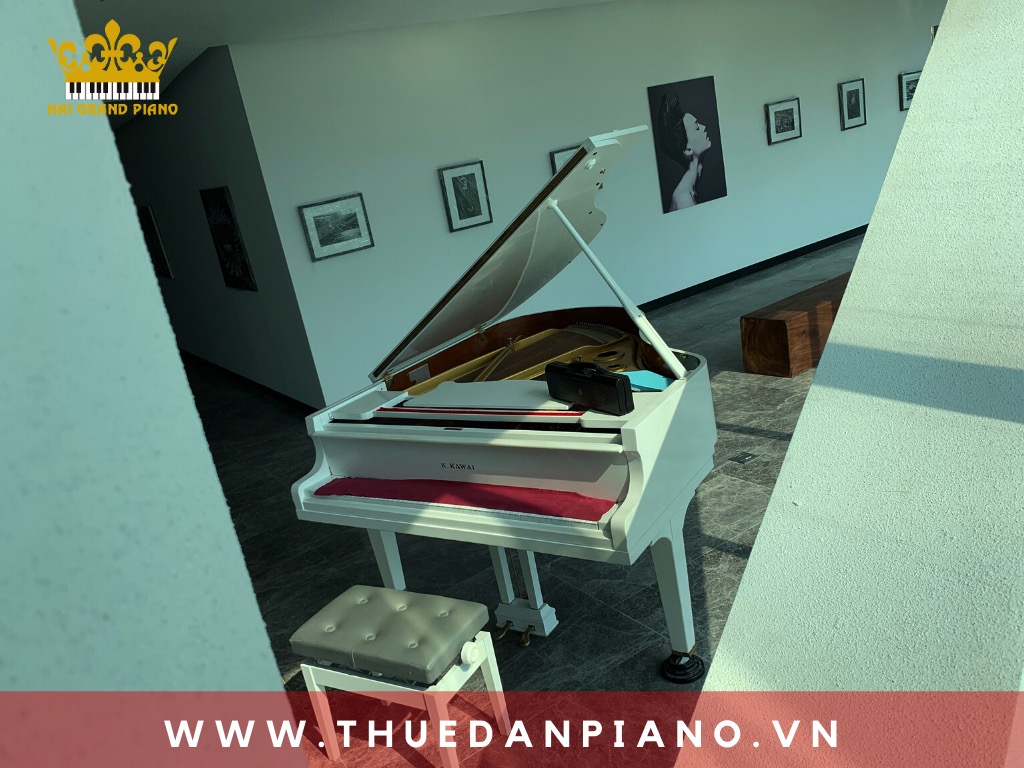 thue-piano-bieu-dien-mau-trang