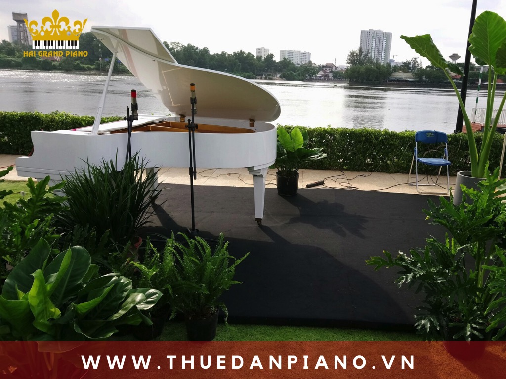 thue-piano-bieu-dien-ngoai-troi_005
