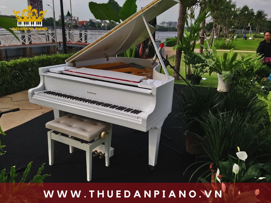 thue-piano-bieu-dien-ngoai-troi_006