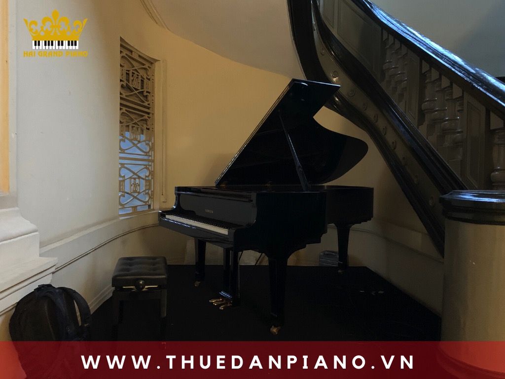 thue-piano-bieu-dien_001