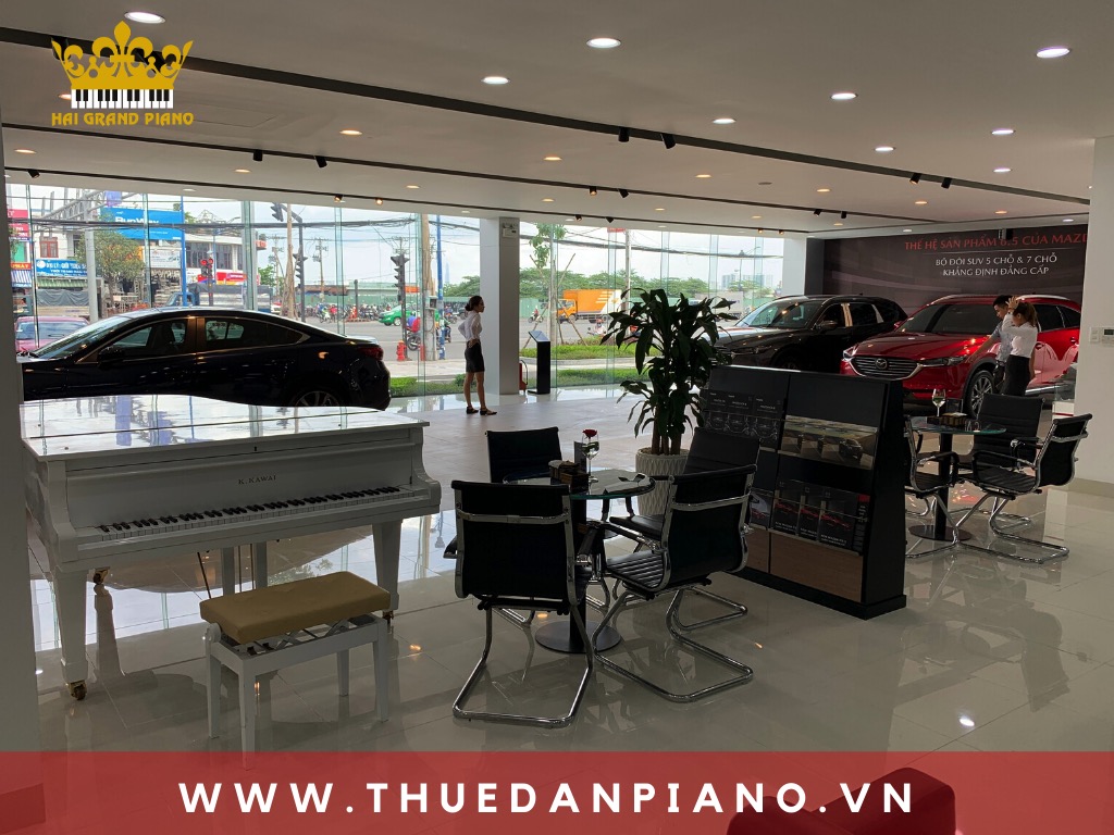 thue-piano-bieu-dien-showroom-oto