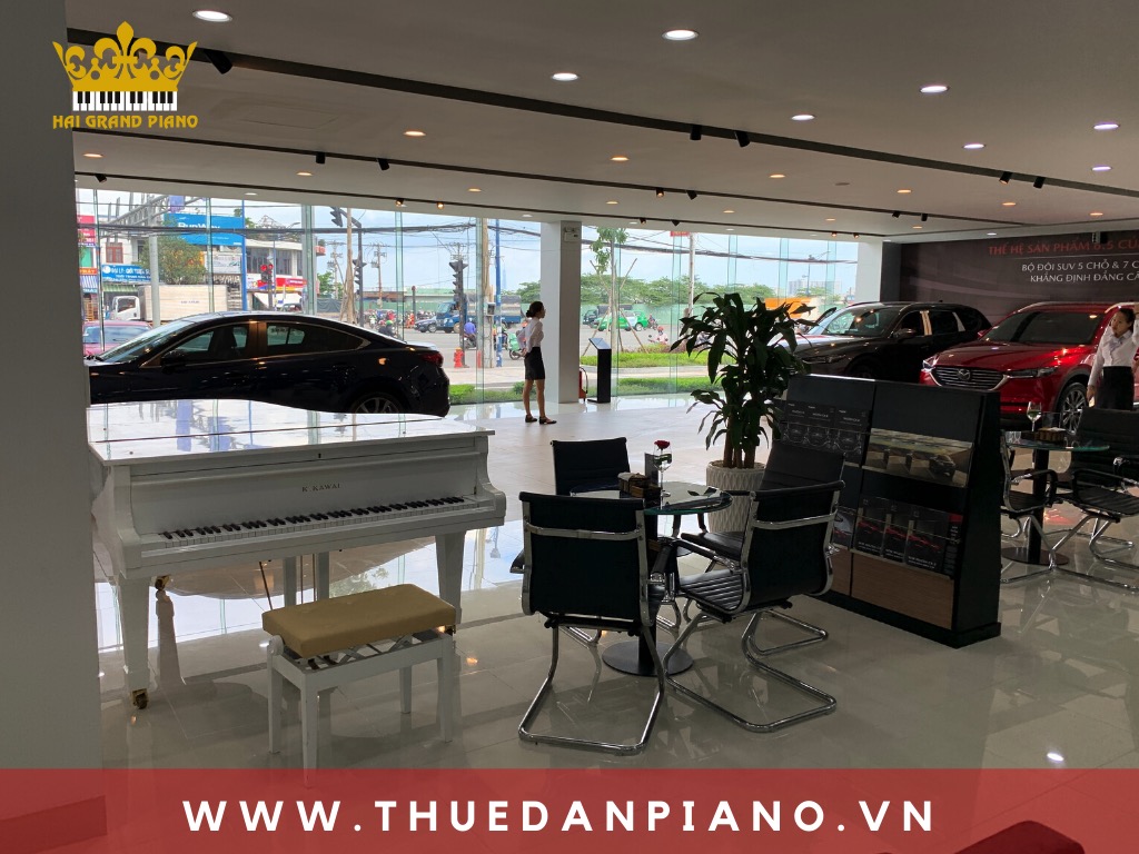 thue-piano-bieu-dien-showroom-oto_002