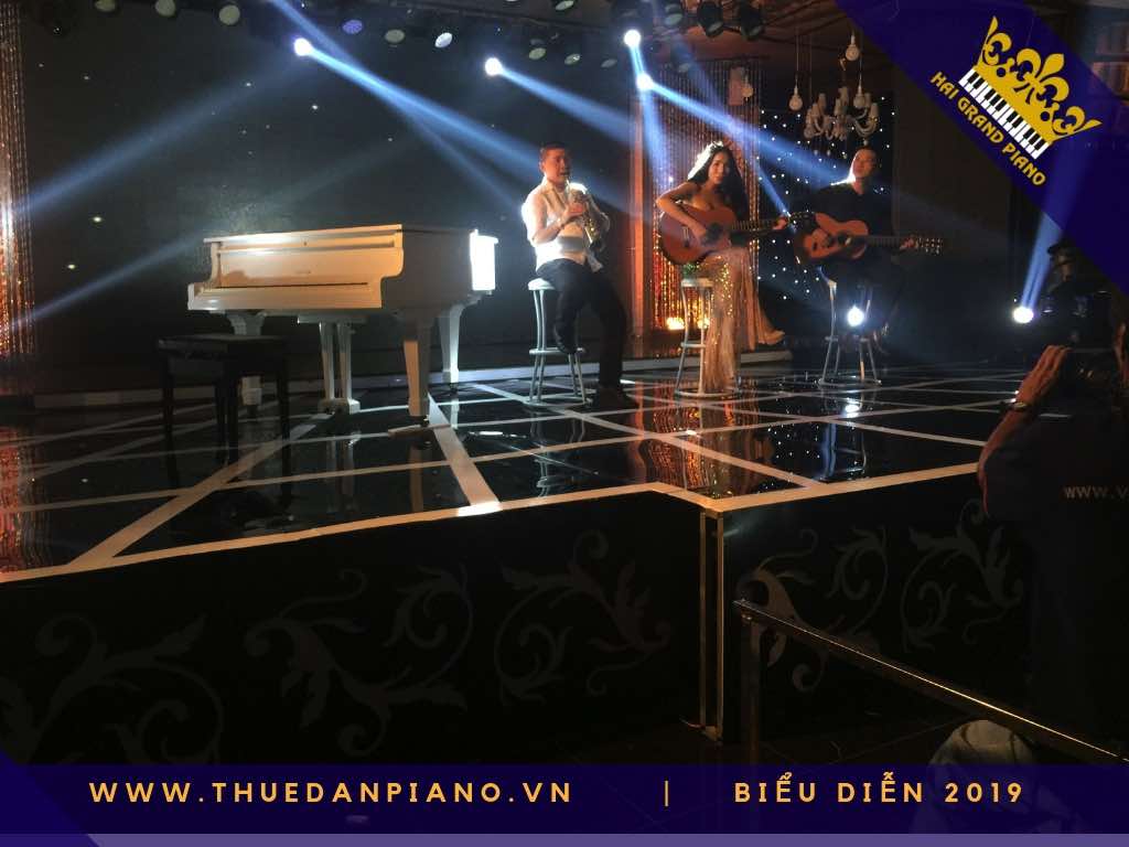 thue piano bieu dien grand_001