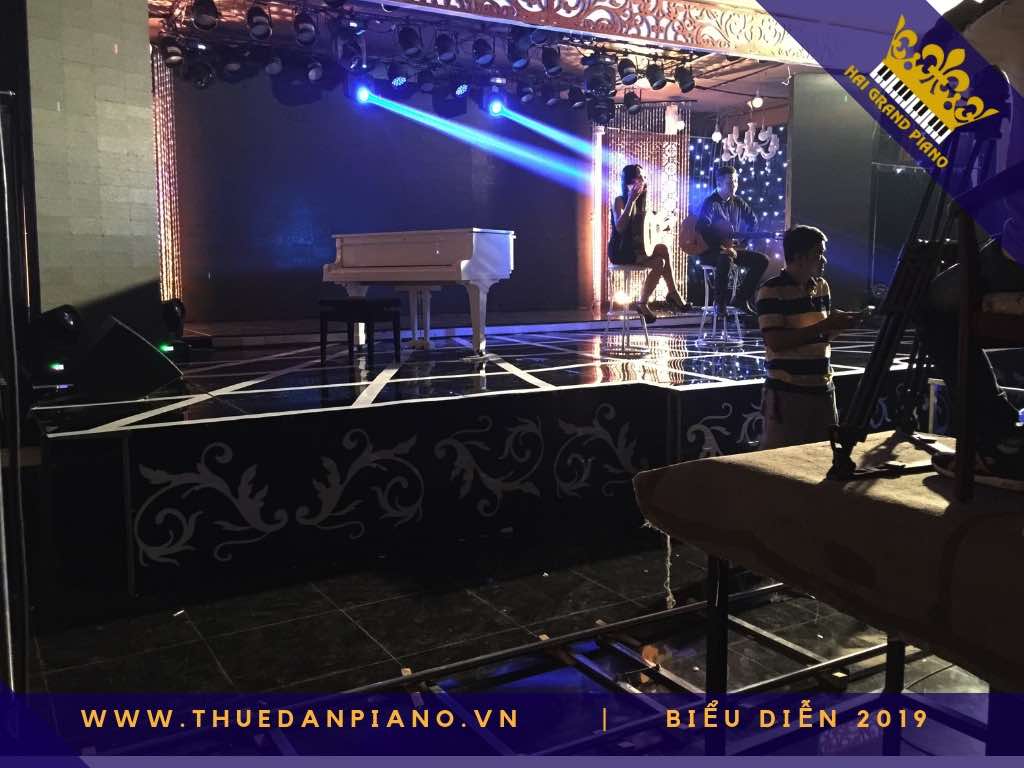 thue piano bieu dien grand_002
