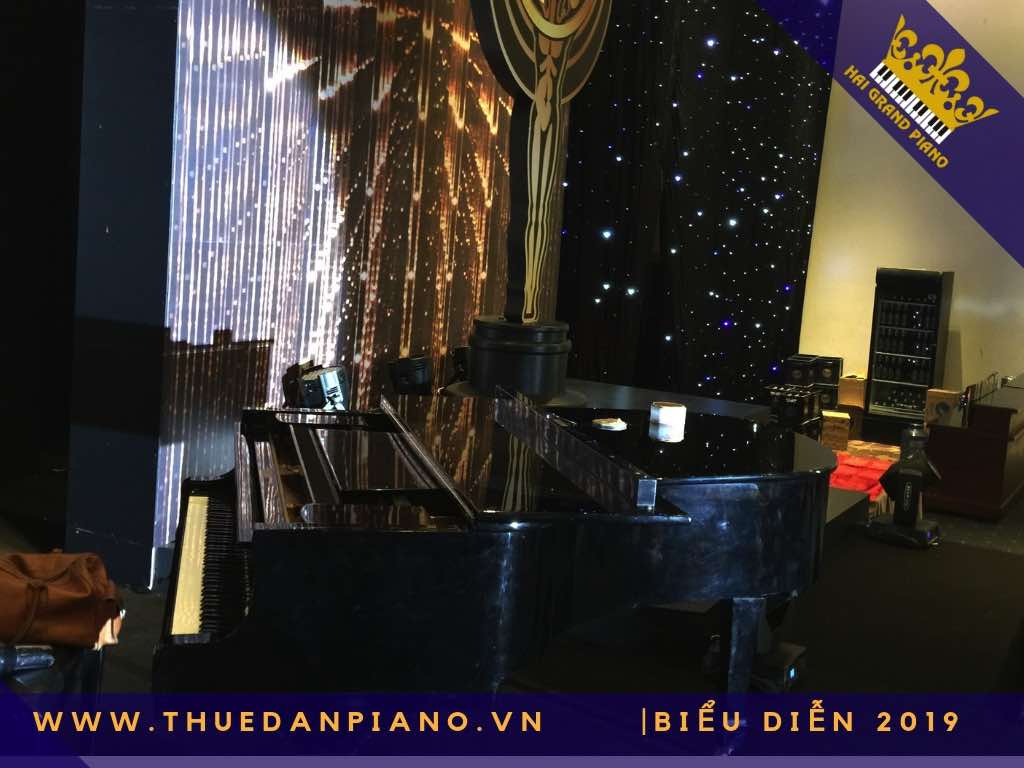 thue dan pịano bieu dien q.bt_001