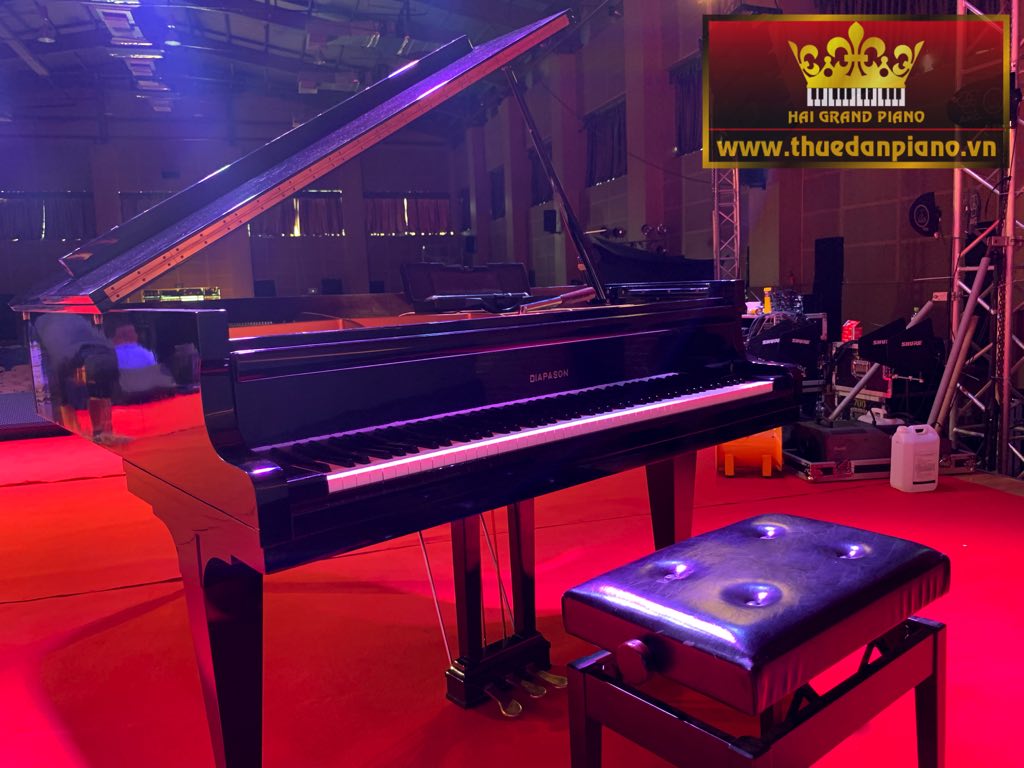 thue-piano-korea-1