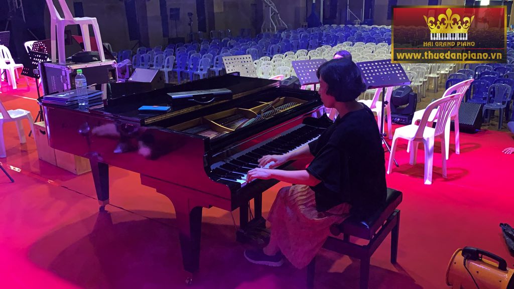 thue-piano-korea-5