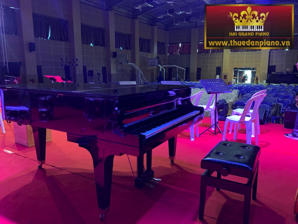 thue-piano-korea-8