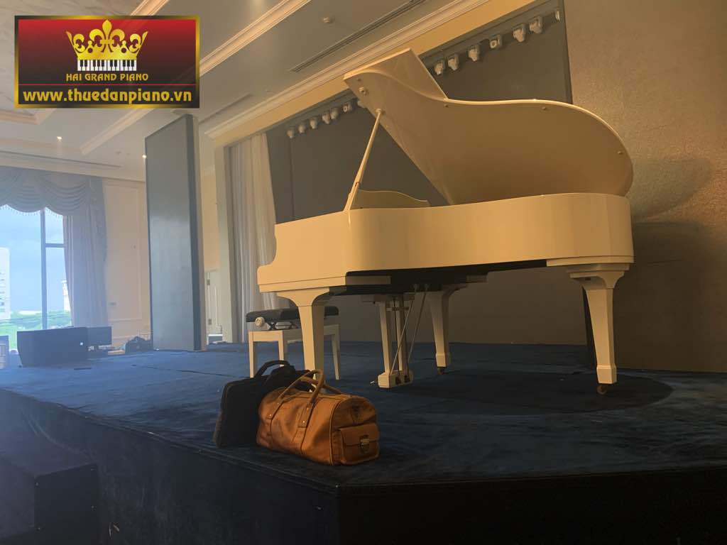 cho-thue-piano-grand-white-2
