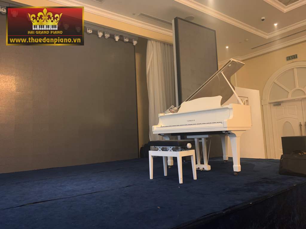 cho-thue-piano-grand-white-3