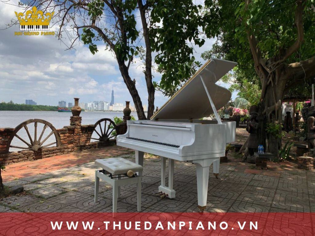cho-thue-piano-bieu-dien-ngoai-troi_002