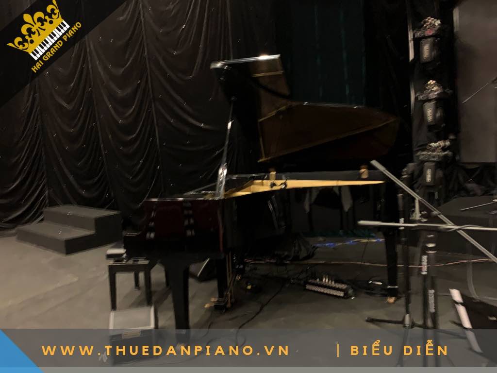 CHO THUE DAN PIANO 2