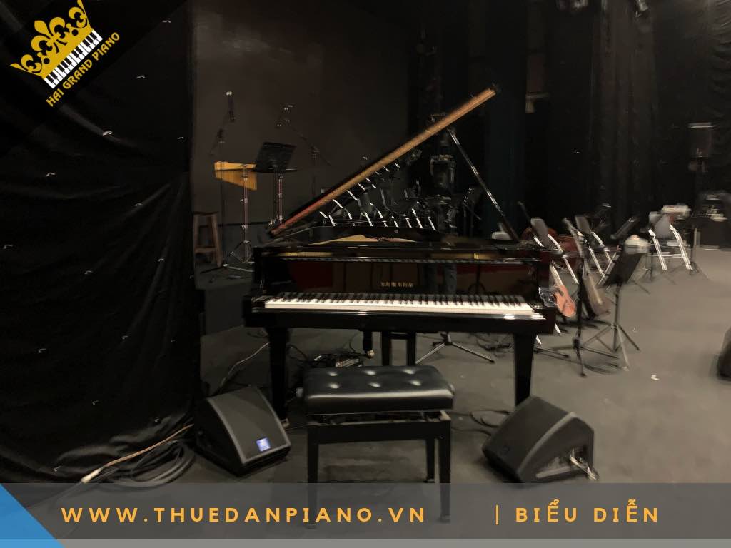 CHO THUE DAN PIANO 3