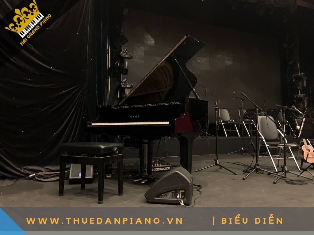 CHO THUE DAN PIANO 4