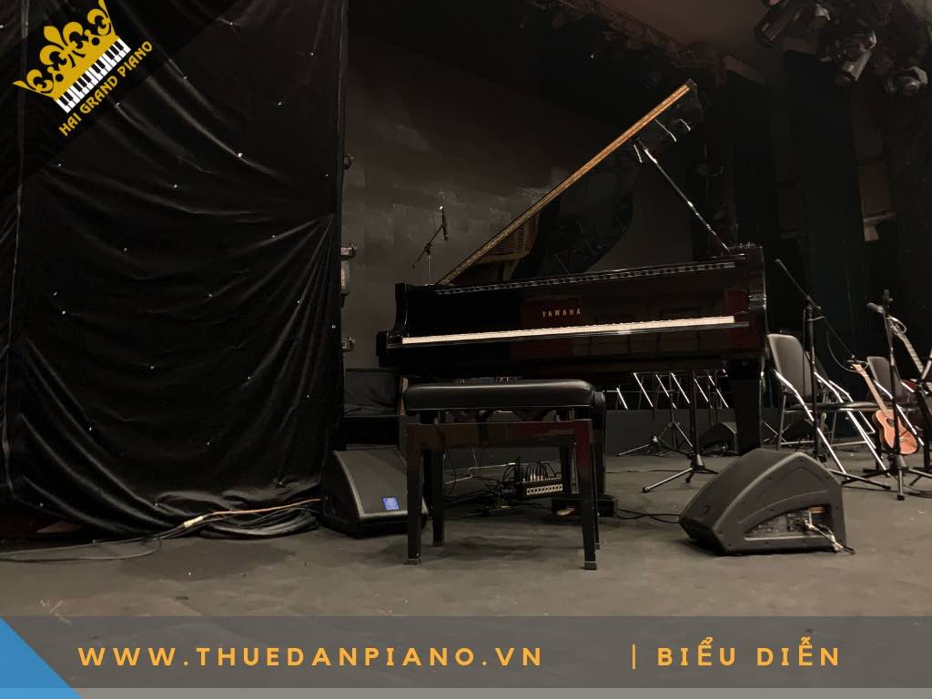 CHO THUE DAN PIANO 5