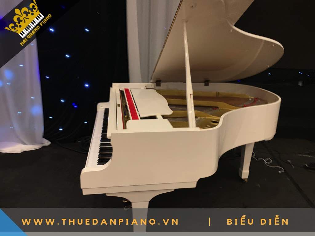grand piano white -3