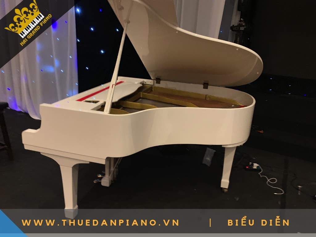 grand piano white -6
