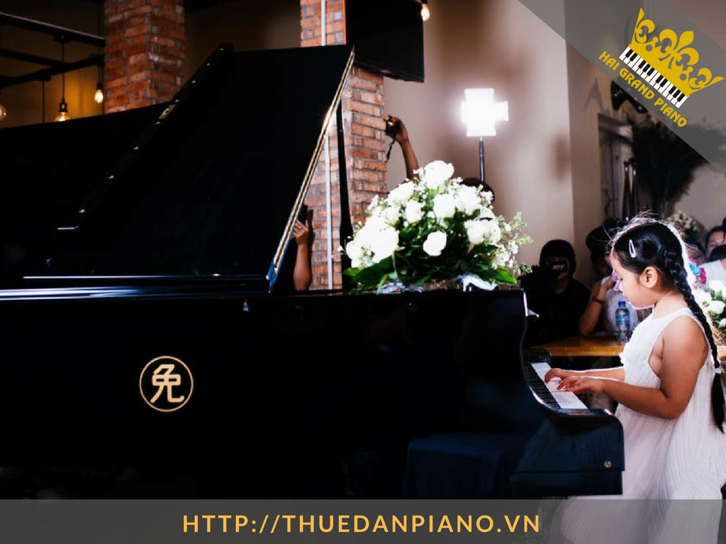 cho-thue-dan-piano-tuan-manh-8
