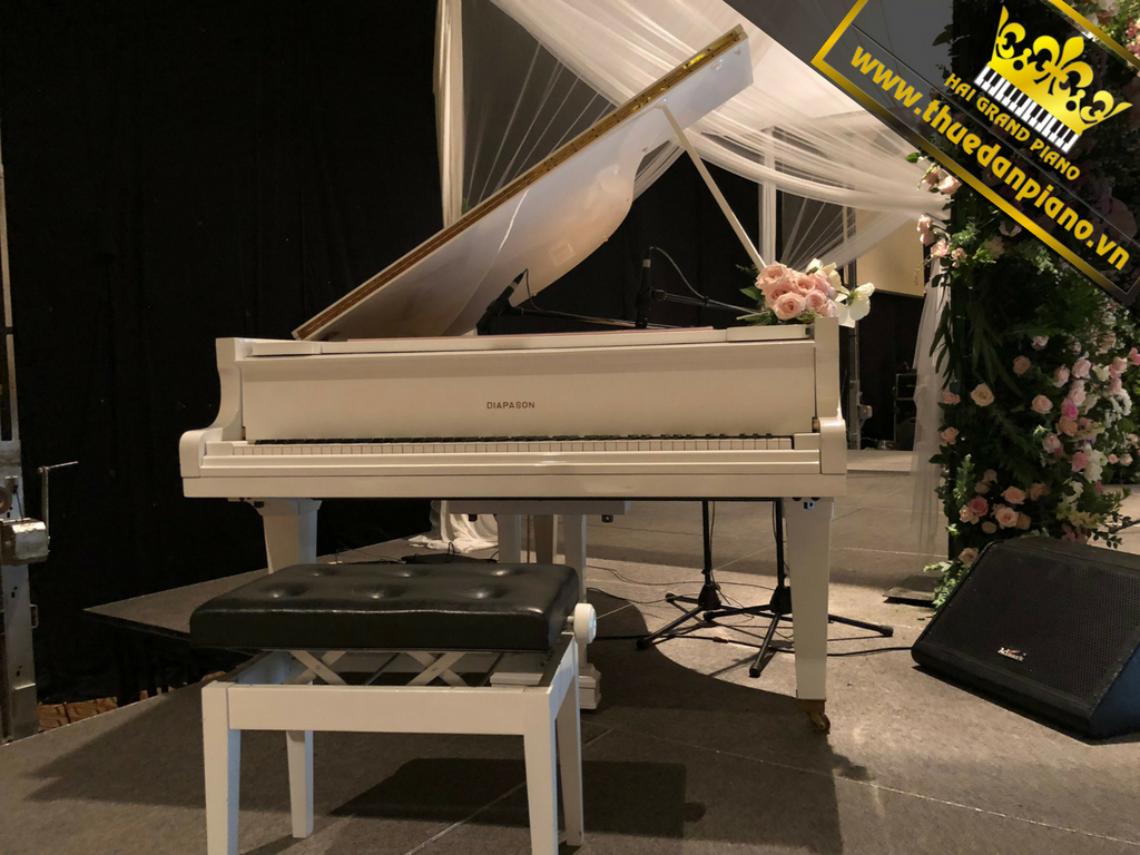 ntm-grand-piano-diapason