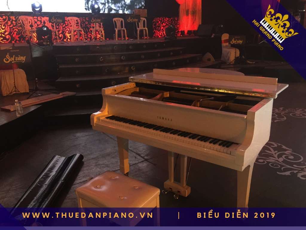 thue piano bieu dien nha hat_003