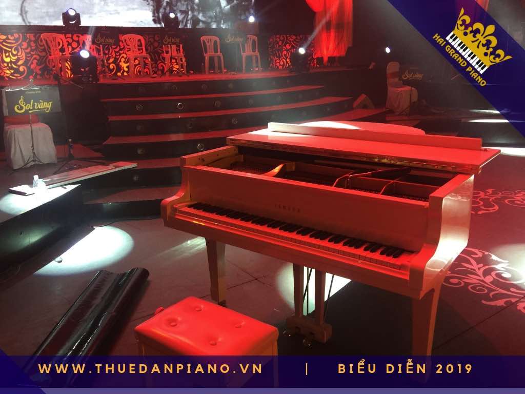 thue piano bieu dien nha hat_004