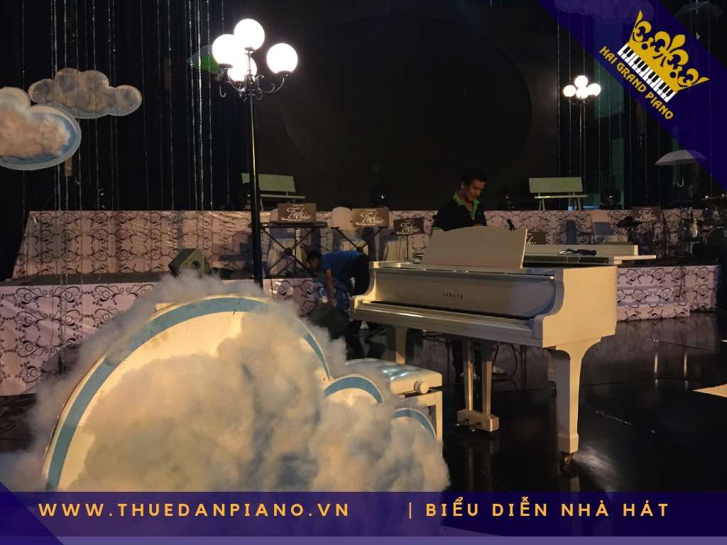 thue piano bieu dien nha hat q.10_001