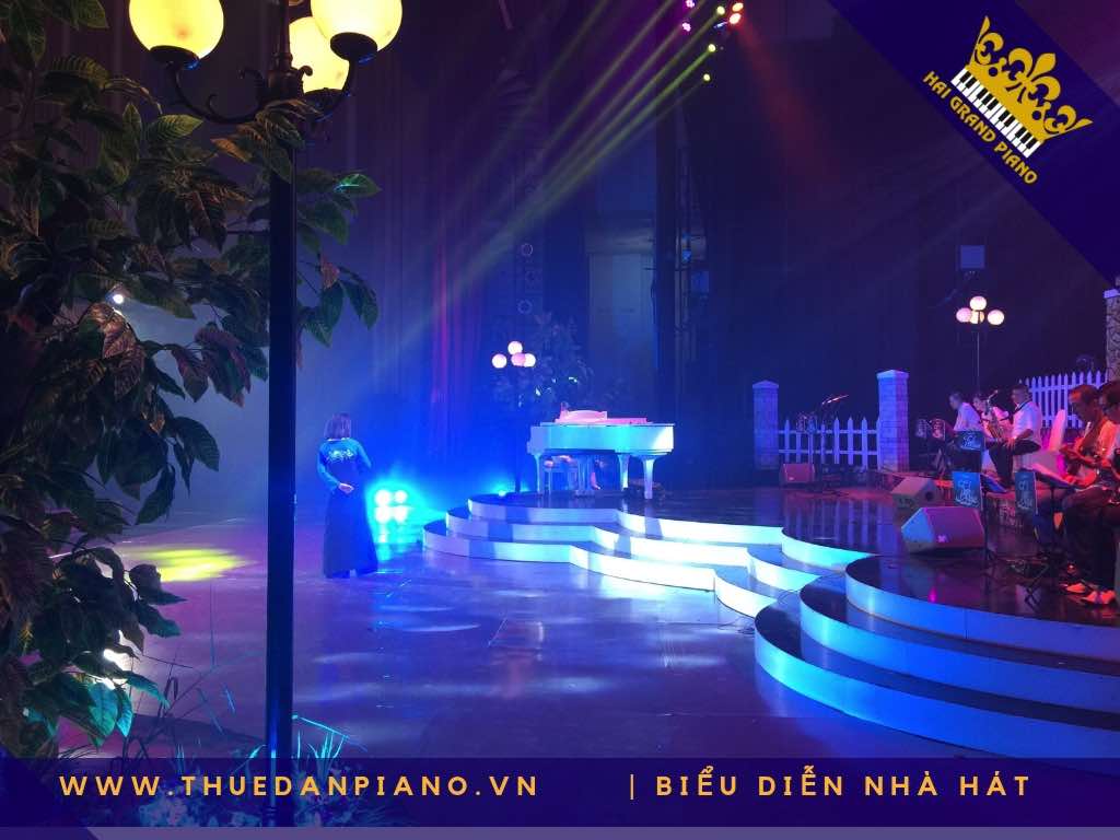 thue piano bieu dien nha hat q.1
