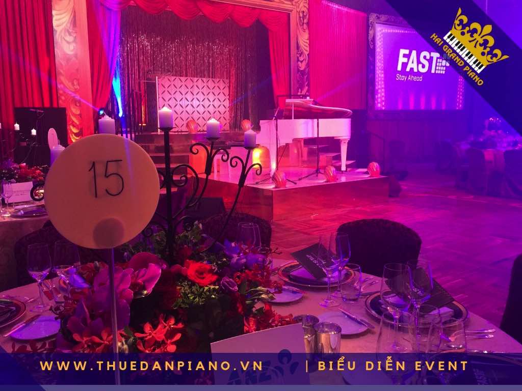 thue piano bieu dien q.1_001