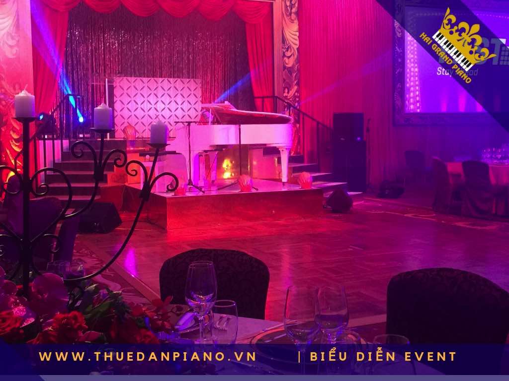 thue piano bieu dien q.1_003