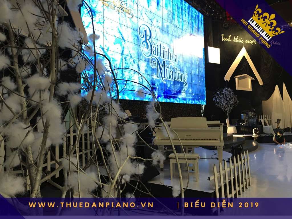 thue piano grand bieu dien 2019_001