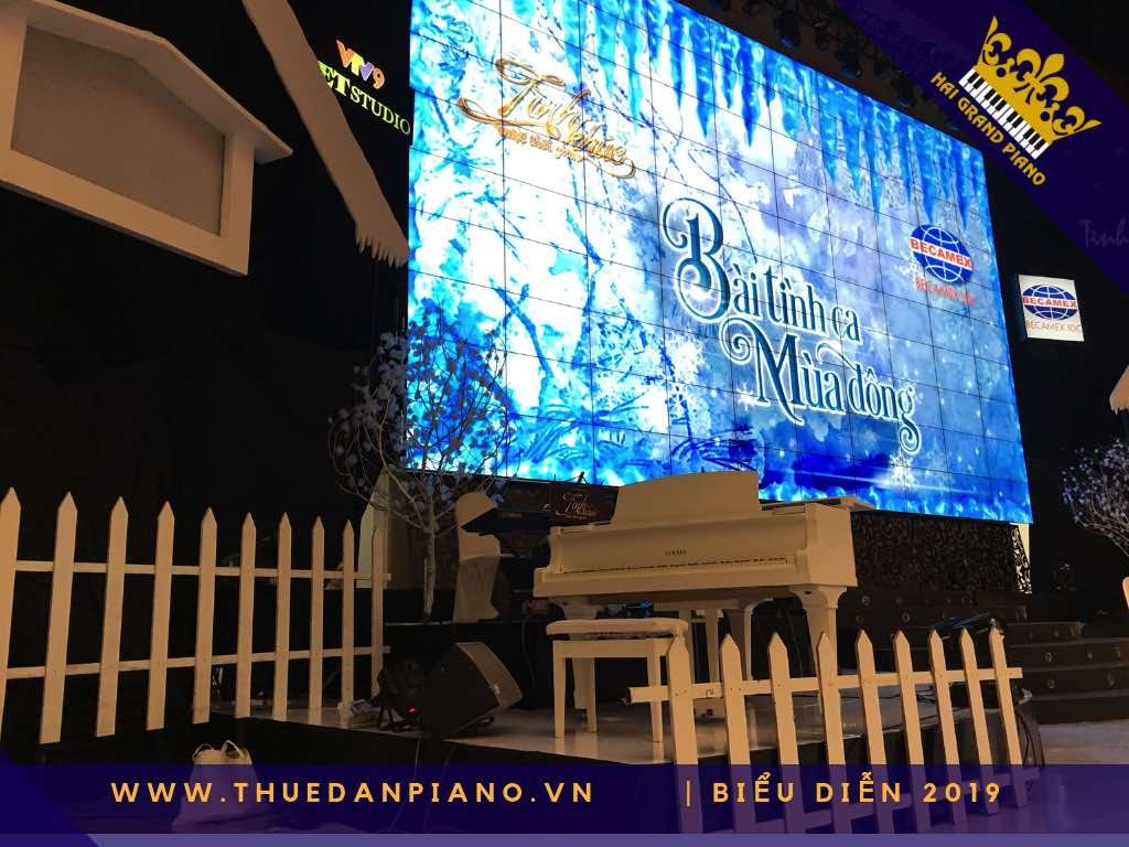 thue piano grand bieu dien 2019_003